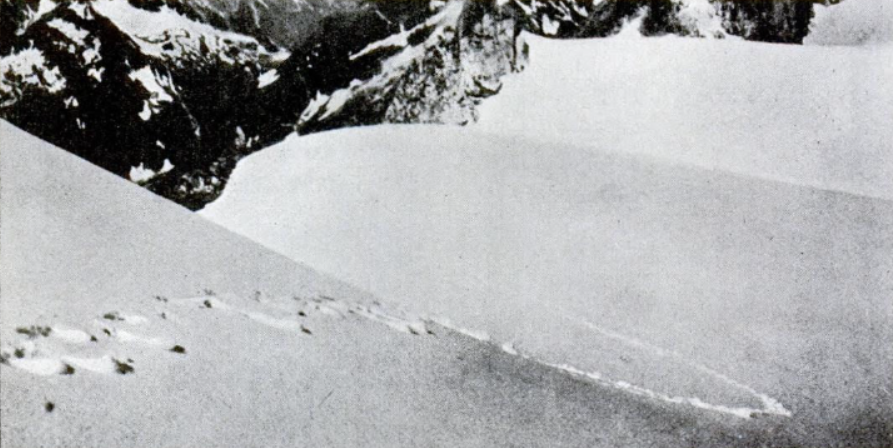 1937_yeti_footprints