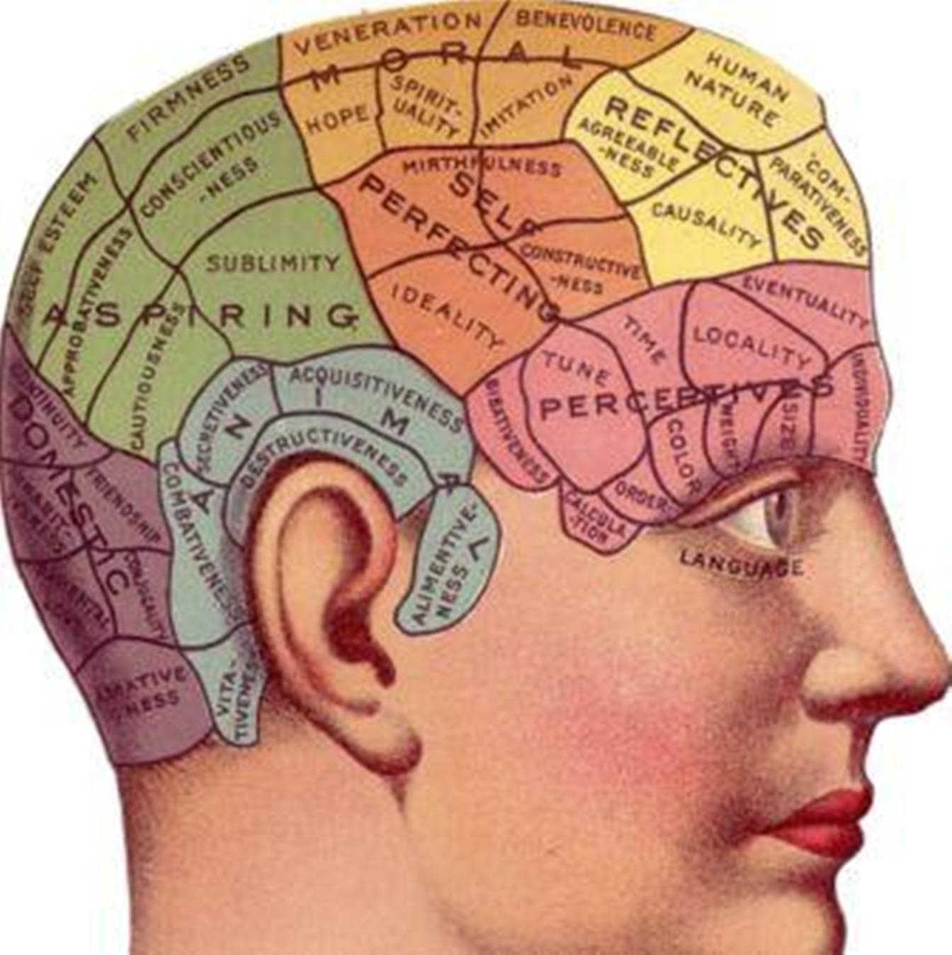 Read more about the article मनुष्य अपने दिमाग का कितना प्रतिशत इस्तेमाल करता है