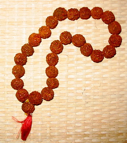 rudraksha benefits in hindi