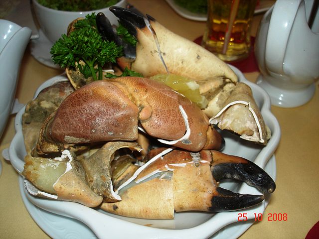 Brown (Edible) Crab