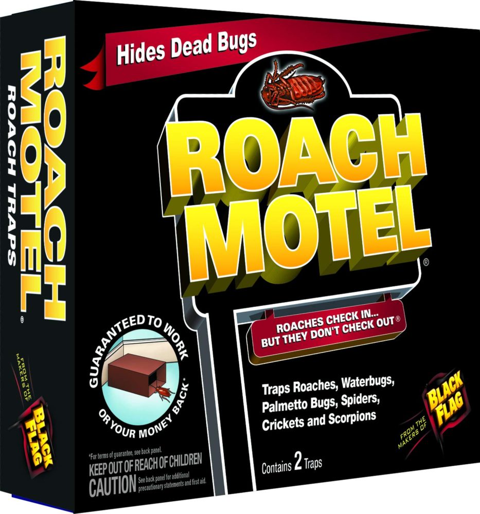 कॉकरोच भगाने के उपाय best roach trap
