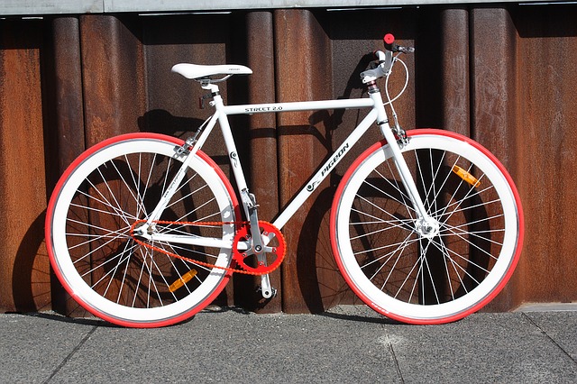 Fixed Gear cycle
