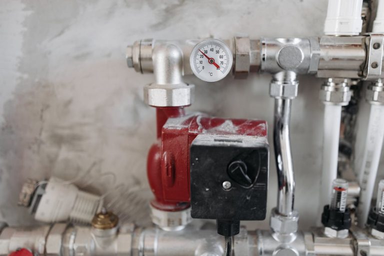 Mold Remediation vs Mold Removal: What’s the Difference? Mold Remediation vs Mold Removal: What’s the Difference?