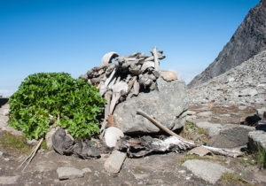 Read more about the article kya hai roopkund jheel ka rahasy jaaniye [kankaal jheel]