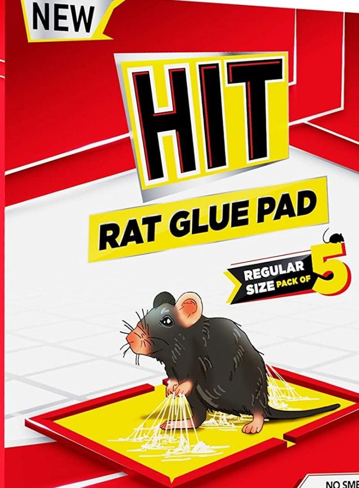 ‌‌‌चूहे पकड़ने का उपाय Rat & mouse glue pad