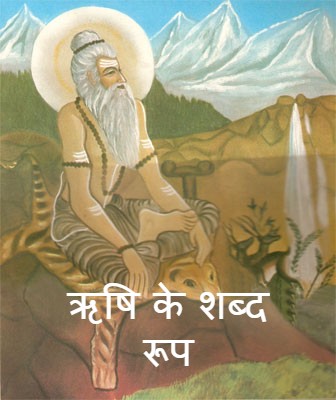 Read more about the article rishi shabd roop ऋषि के शब्द रूप