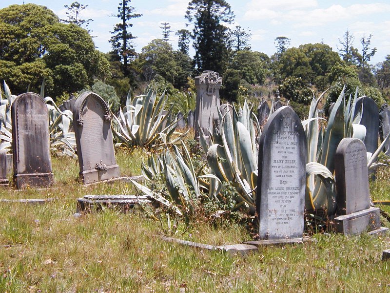 Rookwood Cemetery