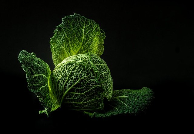 ‌‌‌गोभी के प्रकार  Savoy Cabbage cauliflower  in hindi