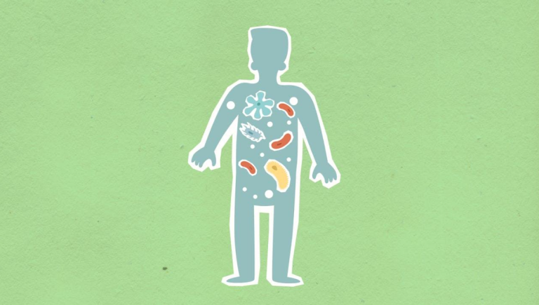 From Diet to Cells