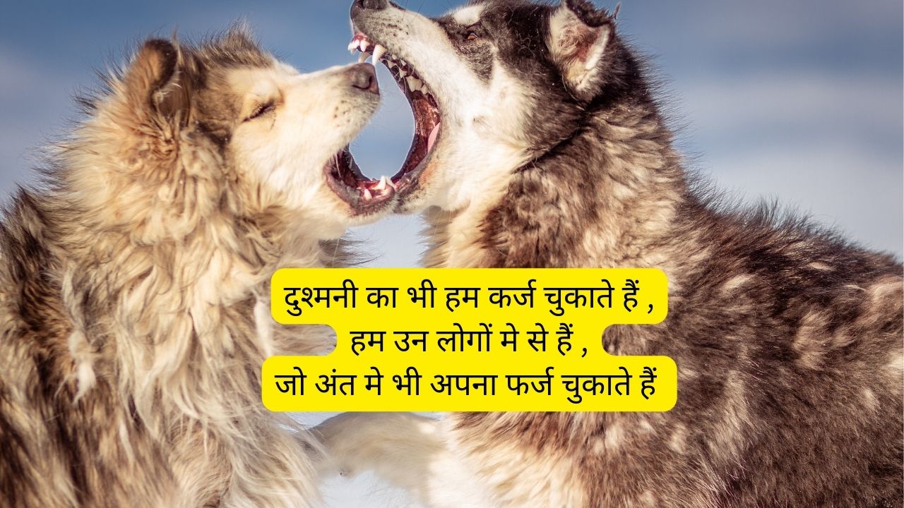 apne dushman shayari