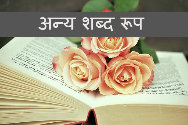 Read more about the article anya shabd roop ‌‌‌अन्य शब्द रूप के बारे मे जानकारी