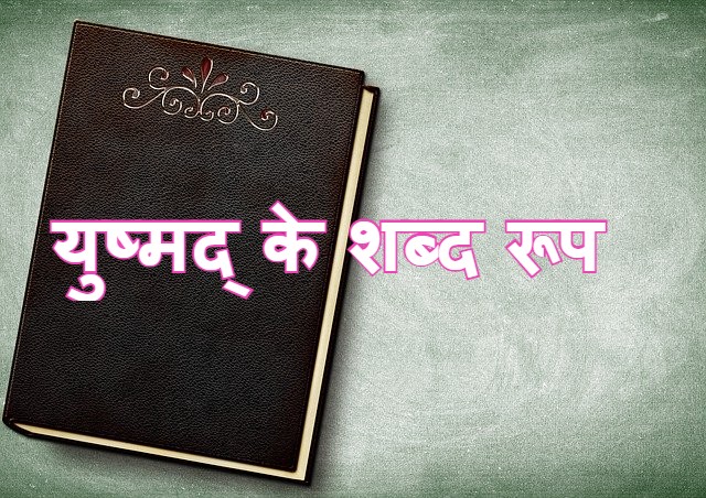 युष्मद् के शब्द रूप yushmad shabd roop in hindi
