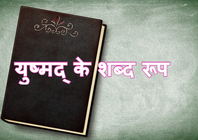 Read more about the article युष्मद् के शब्द रूप  ‌‌‌ के बारे मे जानकारी  yushmad shabd roop