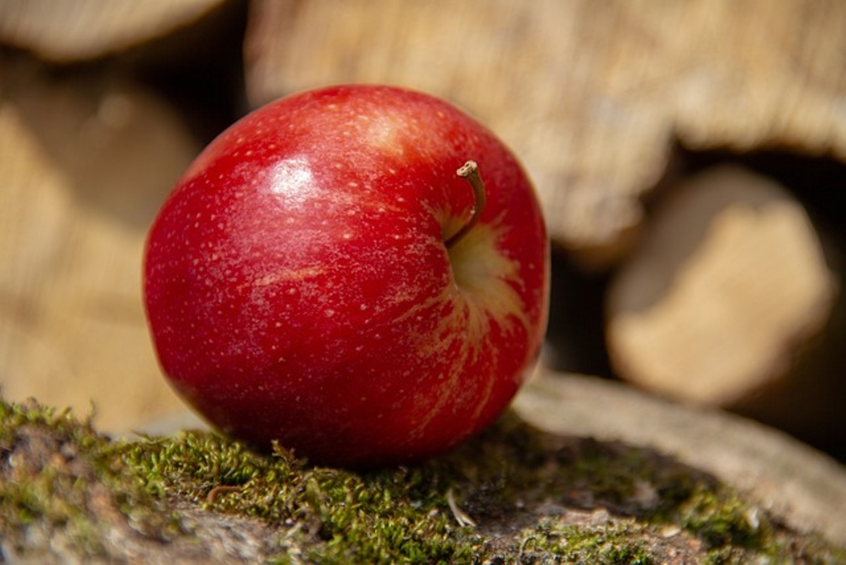 Read more about the article गर्भावस्था में सेब खाने के 32 बेजोड़ फायदे और नुकसान