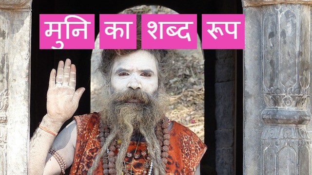 Read more about the article ‌‌‌मुनी शब्द रूप के बारे मेजानकारी  muni shabd roop in sanskrit