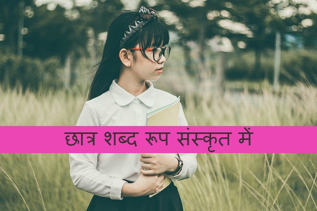 Read more about the article chhatra shabd roop sanskrit mein छात्र शब्द रूप संस्कृत में
