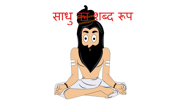 Read more about the article ‌‌‌साधु का शब्द रूप shabd roop of muni and sadhu in sanskrit