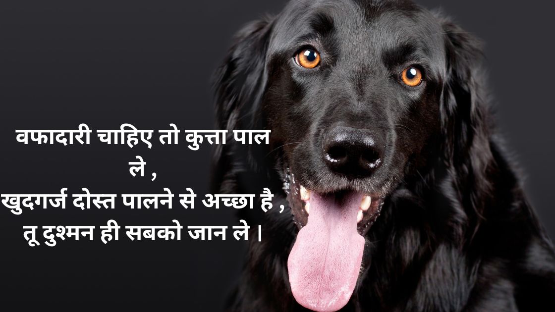 वफादार कुत्ते पर शायरी marathi