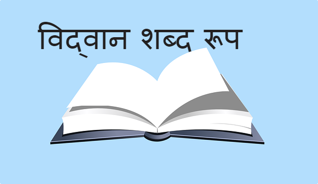 Read more about the article vidwan shabd roop विद्वान शब्द रूप इन संस्कृत