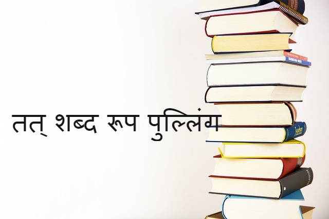 Read more about the article etat shabd roop pulling in sanskrit  तत् शब्द रूप पुल्लिंग