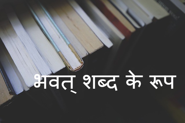 Read more about the article भवत् शब्द के रूप के बारे मे जानकारी  bhavat shabd roop