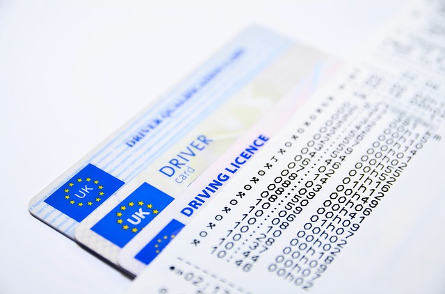 Online driving Licence 