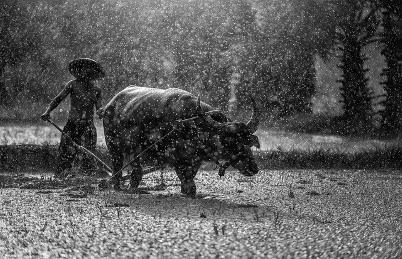 jiski lathi uski bhains ka vakya mein prayog