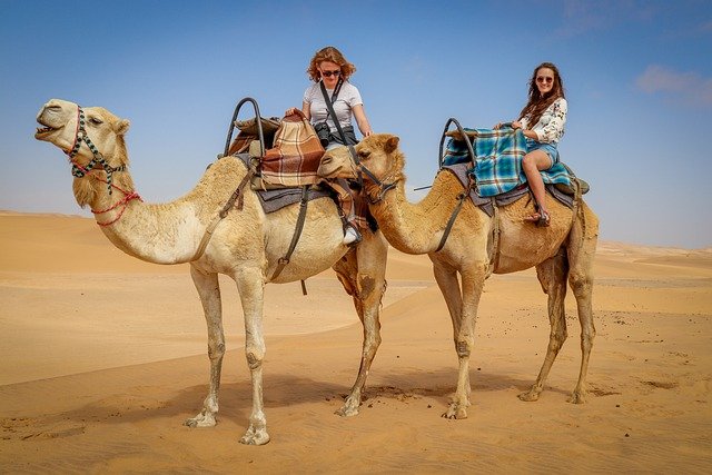 Read more about the article ‌‌‌सपने मे ऊंट देखने के 34 मतलब के बारे मे जानें sapne me camel dekhna