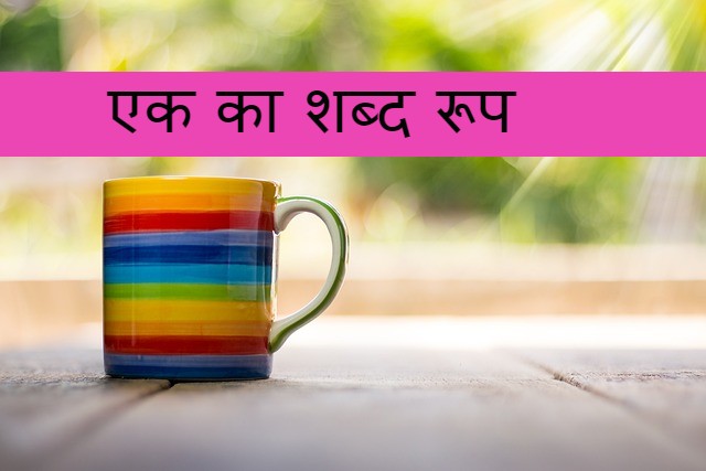 Read more about the article ek shabd roop ‌‌‌एक का शब्द रूप के बारे मे जानकारी