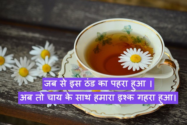 chai par shayari 2 line