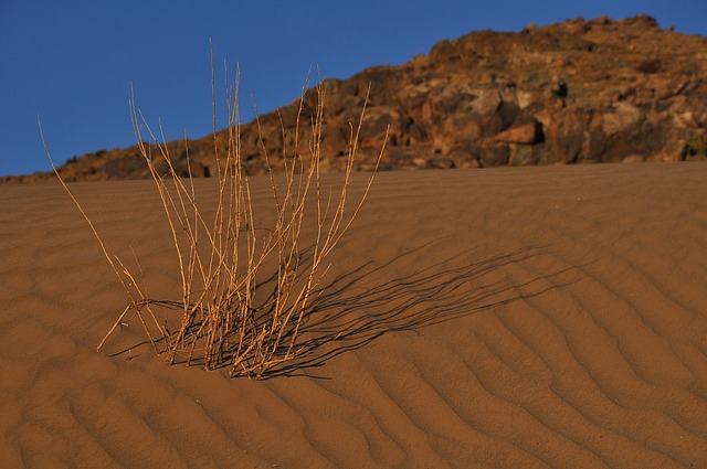 Arid soils