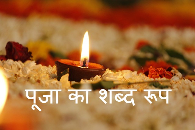 Read more about the article ‌‌‌पूजा का शब्द रूप puja dhatu roop in sanskrit
