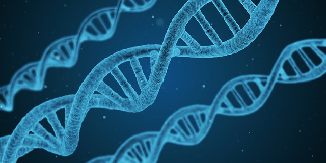 DNA  टेस्ट क्या है