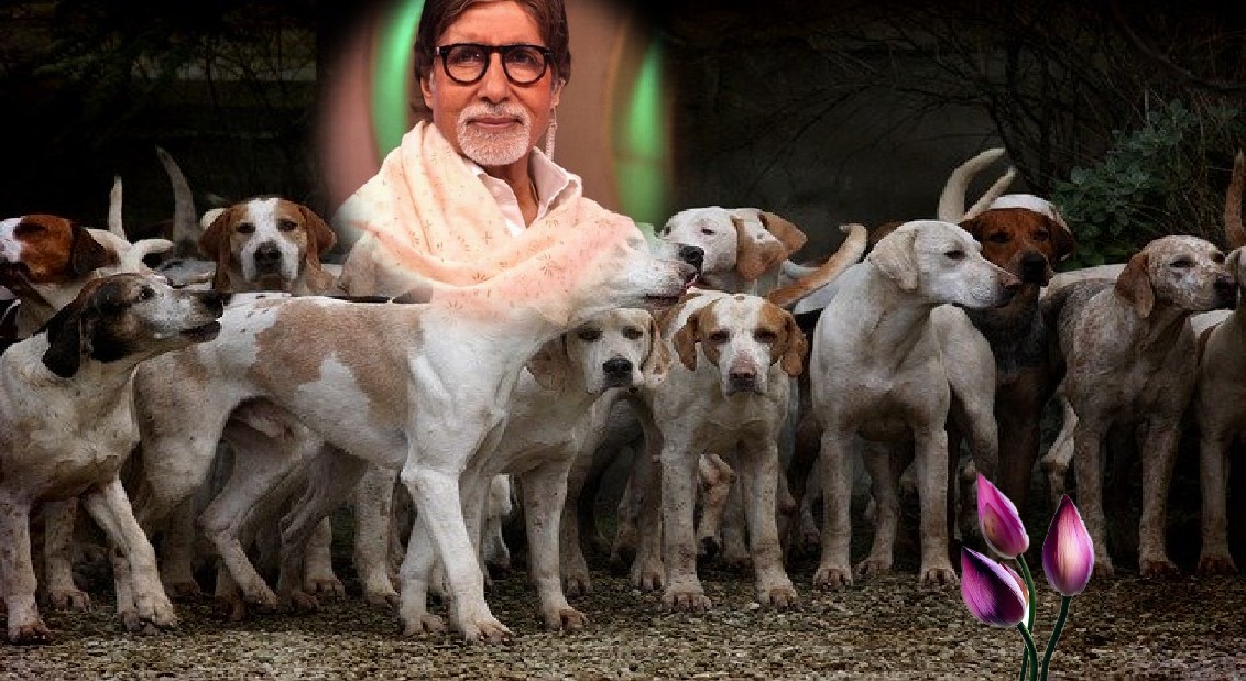 अमिताभ बच्चन के कुत्ते का नाम 