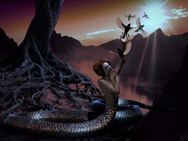 snake  photo