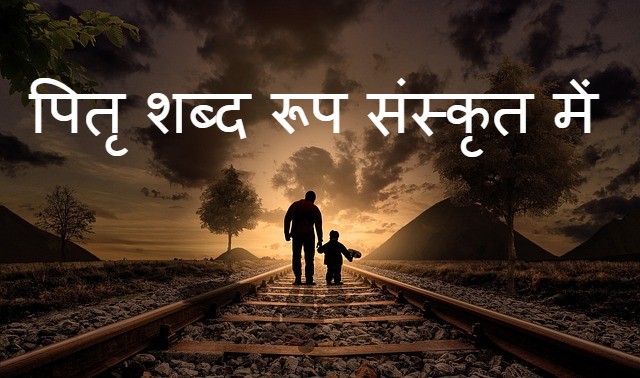 Read more about the article pitri shabd roop पितृ शब्द रूप संस्कृत में list in hindi