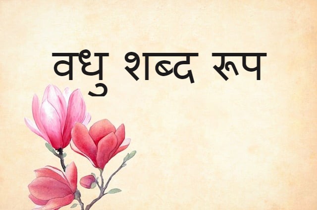 vadhu shabd roop in sanskrit ‌‌‌