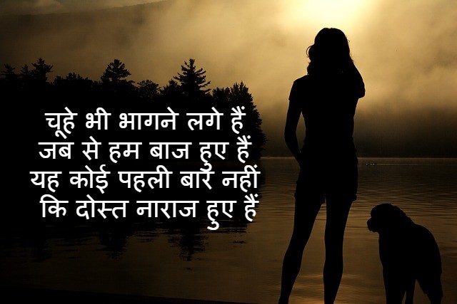 naraj dost ke liye shayari in hindi