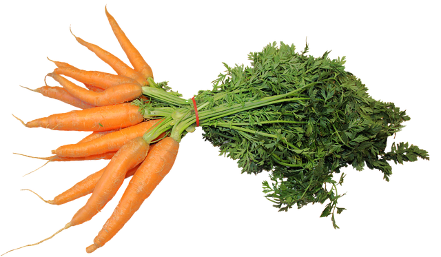 Read more about the article सपने में गाजर देखने का 33 मतलब sapne mein gajar dekhna