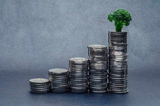 Top Accounting Tools for Small Businesses in 2025 Small Businesses in 2025