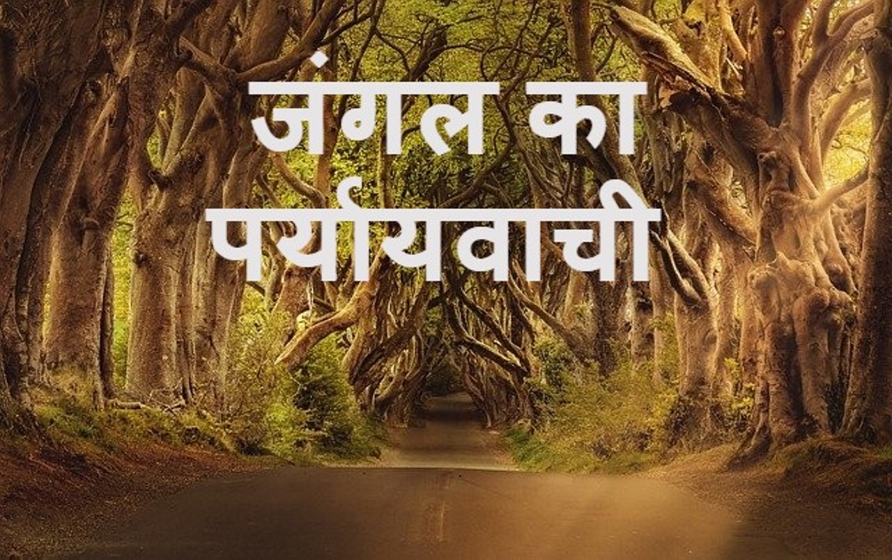 Read more about the article जंगल का पर्यायवाची शब्द jangal ke paryayvachi shabd