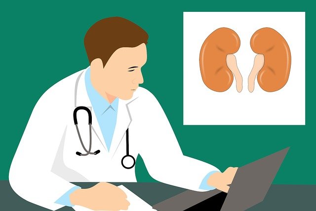 Read more about the article किडनी खराब होने के 19 संकेत  kidney damage symptoms in hindi