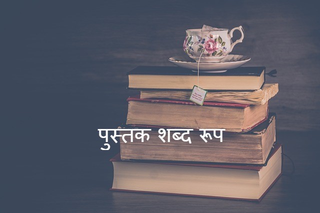 Read more about the article pustak shabd roop पुस्तक शब्द रूप ‌‌‌ के बारे मे जानकारी