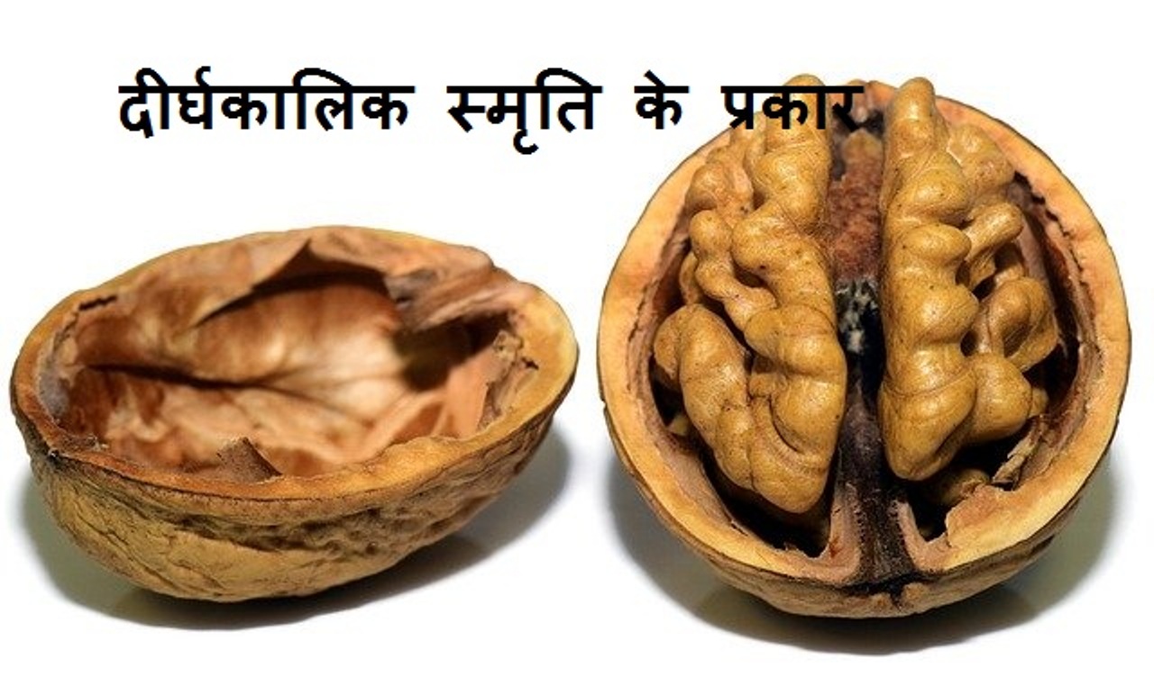 Read more about the article What is Long term memory दीर्घकालिक स्मृति के प्रकार