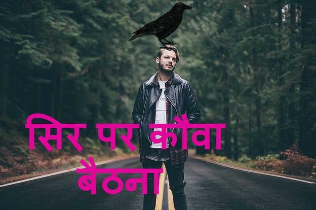 Read more about the article सिर पर कौवा बैठना what happens if a crow sits on your head