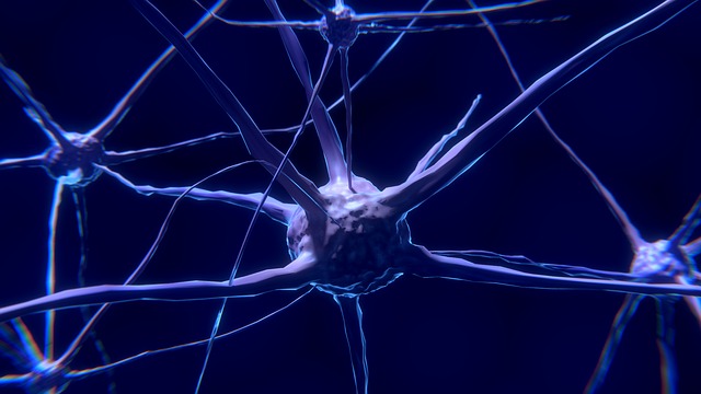 Read more about the article न्यूरोन के प्रकार और इनकी संरचना के बारे मे जानकारी