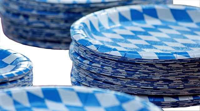 paper plate making business in hindi