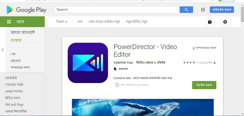 PowerDirector