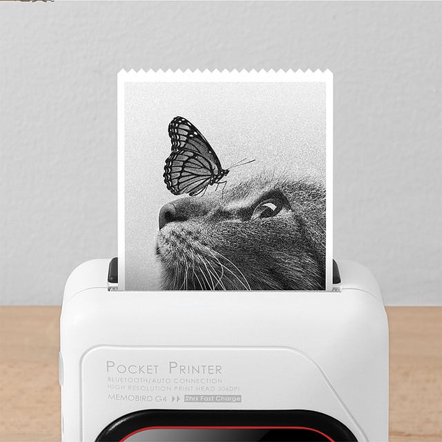 Portable Printer