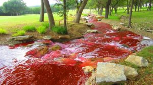 Read more about the article खून की नदी का रहस्य history of blood river  in hindi